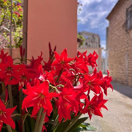 Villa Ensalv Berat - Apartment - Room - Penthouse エクステリア 写真
