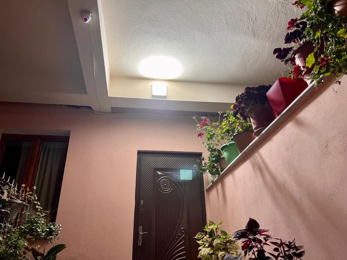 Villa Ensalv Berat - Apartment - Room - Penthouse エクステリア 写真