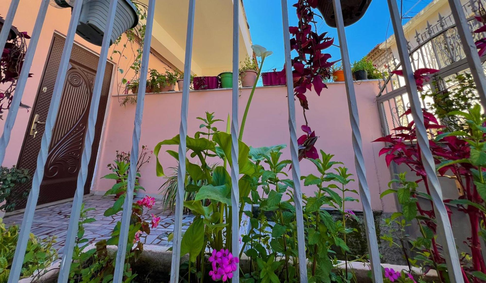 Villa Ensalv Berat - Apartment - Room - Penthouse エクステリア 写真