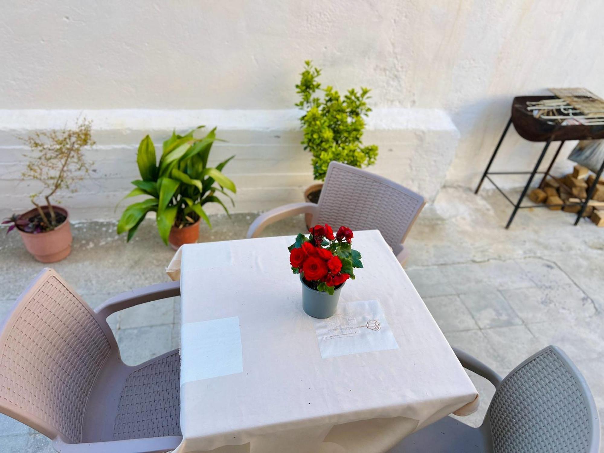 Villa Ensalv Berat - Apartment - Room - Penthouse エクステリア 写真