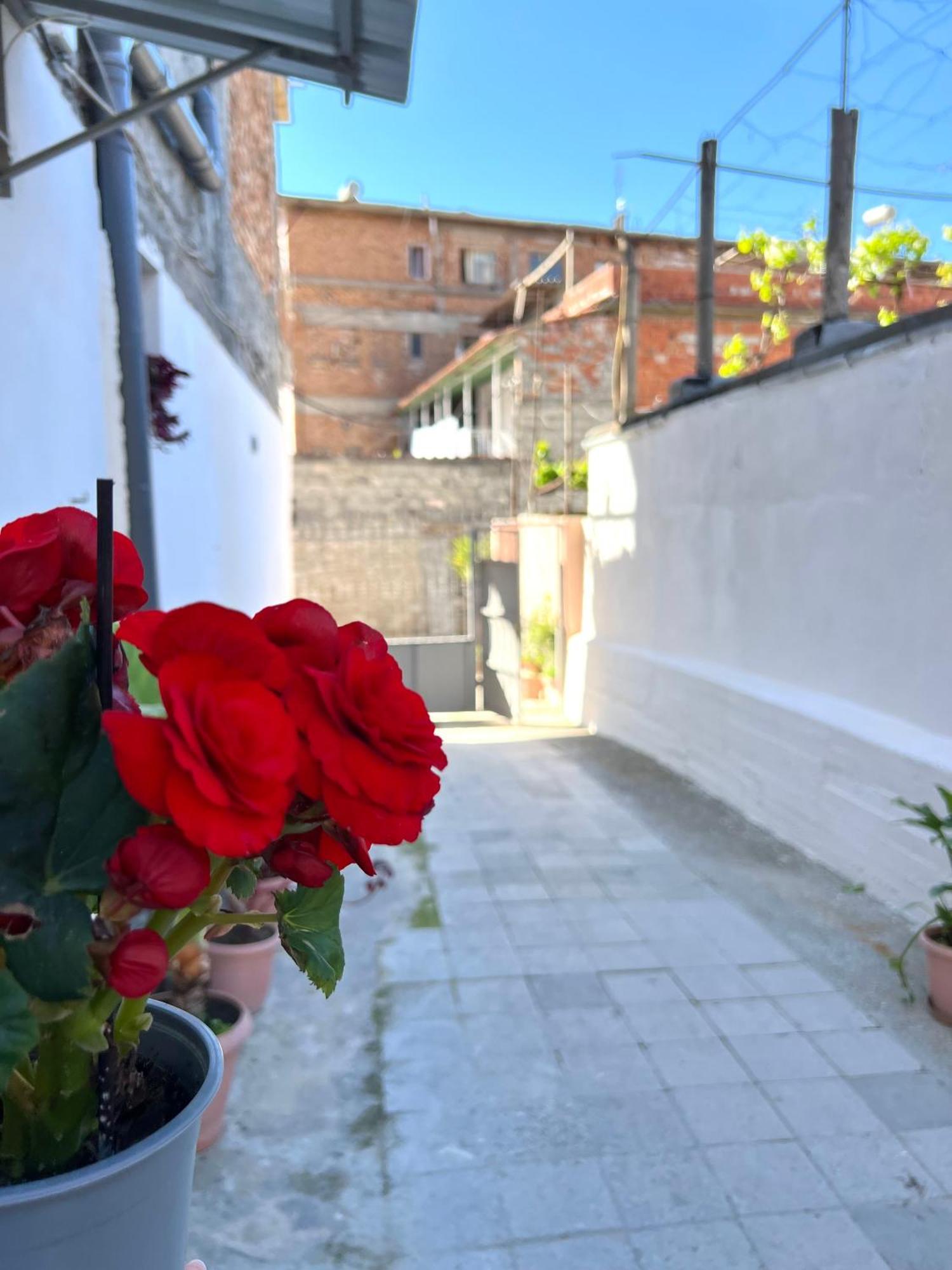 Villa Ensalv Berat - Apartment - Room - Penthouse エクステリア 写真