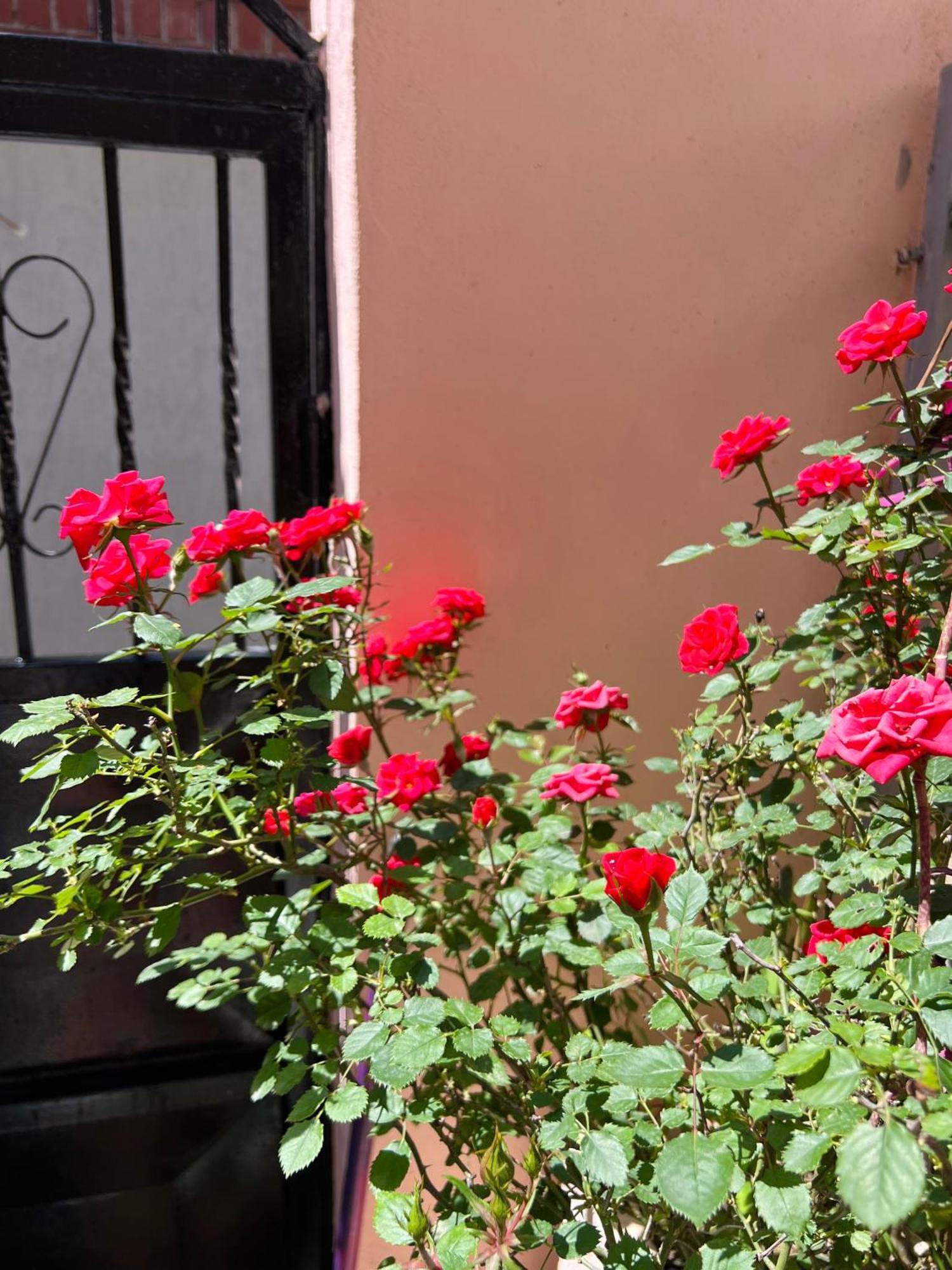 Villa Ensalv Berat - Apartment - Room - Penthouse 部屋 写真