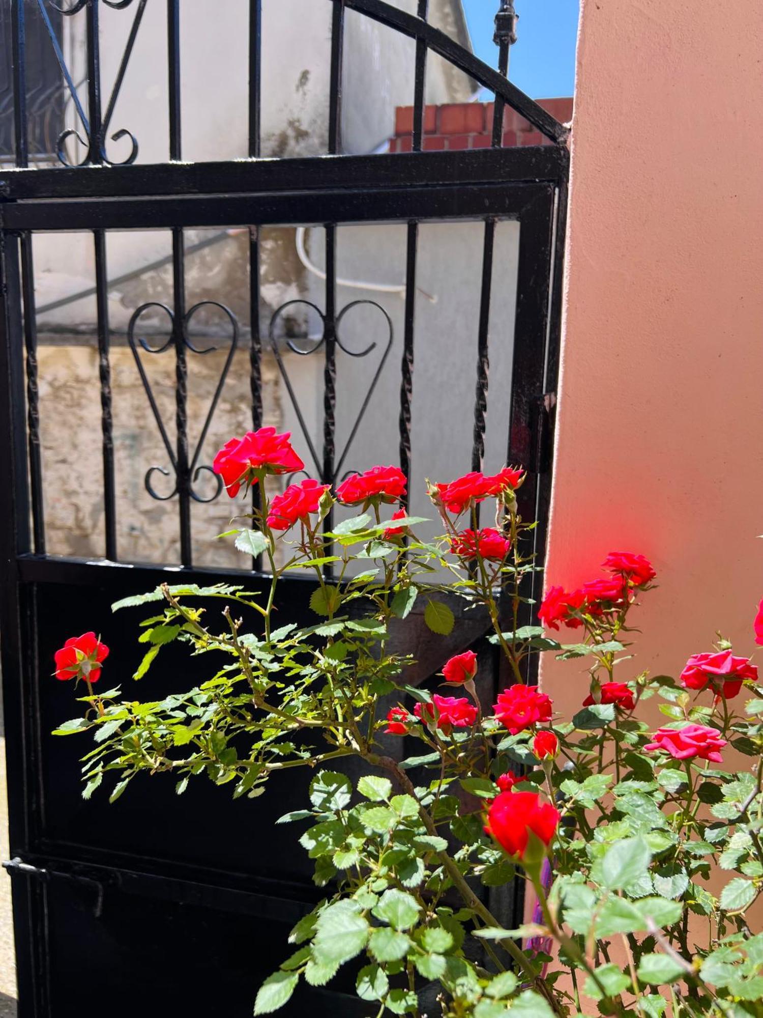 Villa Ensalv Berat - Apartment - Room - Penthouse エクステリア 写真